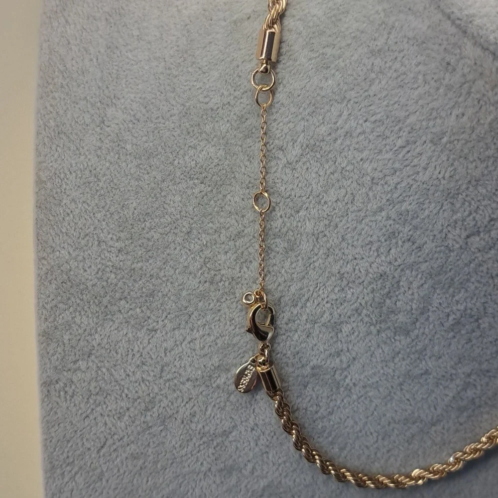 Express Gold Tone Rope Chain - Picture 4 of 4